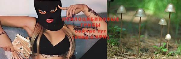 мескалин Аркадак